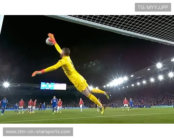 赛季最佳扑救集锦,赛季最佳扑救集锦是什么